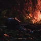 Forest of fire Single
