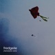 Fredgeile Chemodurov Remix Single