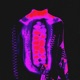 Teeth