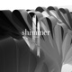 shimmer feat Jonter Single