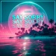 Say Sorry Single