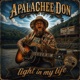 Light in My Life Single