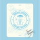 Pasajero Temporal Single