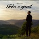 Toka e zjarrit Single