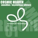 Sensitive Mysterious Silence EP