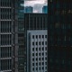 Cold Town Single