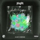 Plugdn Single