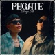 Pegate Single
