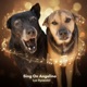 Sing On Angelina Single