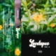 LOVETAPES Vol 2