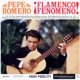 Flamenco Fenomeno