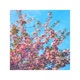Go Slow feat Duncan Steven Single