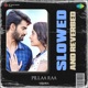 Pillaa Raa Slowed and Reverbed Single