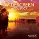 Widescreen Acoustics
