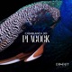 Peacock Single