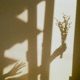 Your Shadow Single