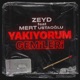 Yakıyorum Gemileri feat Mert Ustaoğlu Single