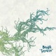 Forsvinne Single