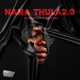 Nana Thula2 0 feat TkayMusiq Single