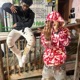 BRAZILIANFUNK feat 13 Skyte Single