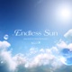 Endless Sun Single