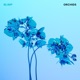 Orchids EP