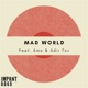 Mad World Single