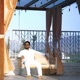 Minimalism In Abundance M I A EP