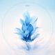 Sonyana Single