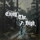 Enjoy The High Single