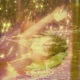 Shine Single