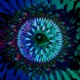 Monkey Puzzle feat Dan Mulqueen Single