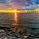 Live For the Night Single