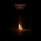 observations of violence feat 9souls Single