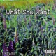 What She Want feat RayJay Single
