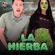 La Hierba Single