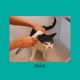 Peace Single