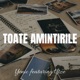 Toate Amintirile Single feat Utze Single