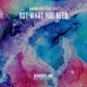 Got What You Need feat Ido Single