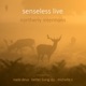 Northerly Intentions Single