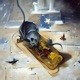 Mousetrap Single