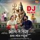 Bhole Te Tera Hath Mang Lyunga Dj Remix Single