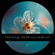 Starlit Circuit Bloom Single