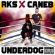 Underdog Single