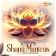 Relaxing Shanti Mantras Single