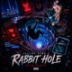 Falling down a rabbit hole Single