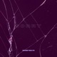 S O R R Y Single