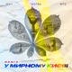У мирному Києві Remix Single