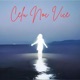 Celu Noc Vice feat Nokto Single
