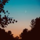 as the seasons go by Single